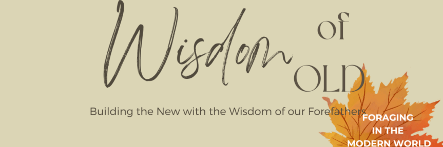 Chestnuts – 1 for food & 1 for&nbsp;medicine