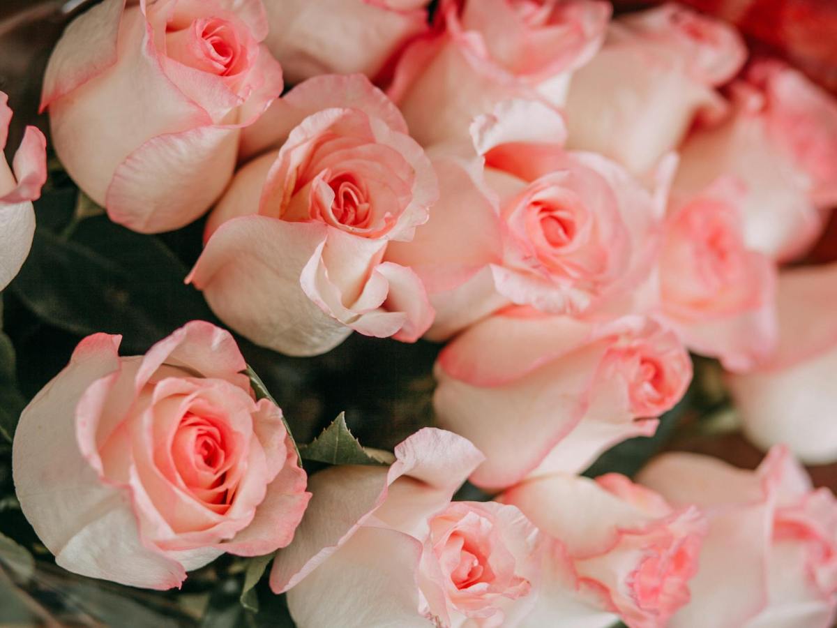 Valentine Tender Bites